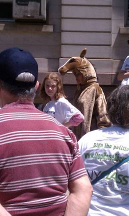 Are Horse Drawn Carriages Coming to an End? Are Horse Drawn Carriages Coming to an End?
