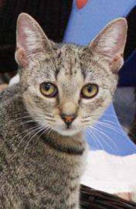 Pick of the Litter: The Cutest Pet of the Week Pick of the Litter: The Cutest Pet of the Week