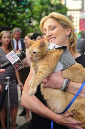 Spongebob, the 30-Pound Cat, Slims Down to 26-Pounds Spongebob, the 30-Pound Cat, Slims Down to 26-Pounds
