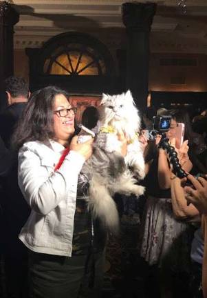 Fashionable felines strut stuff Ada Nieves, a cat fashion designer, with her cat, Martini. Photo: Charmaine P. Rice