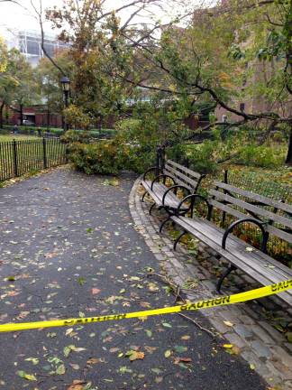 the big question After Sandy on the Upper West Side. Photo: Sarah Lou, via flickr