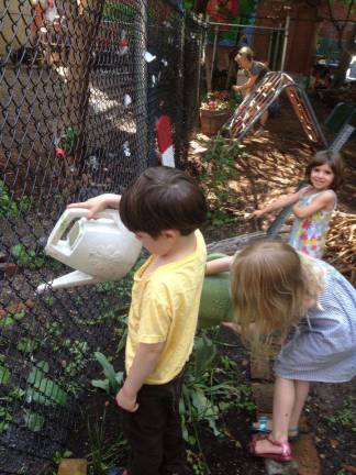 Constructing a Fence Through the Magical Garden