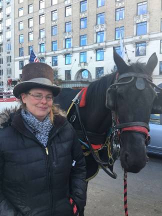 the pros and cons of the Horse deal man on the street the pros and cons of the Horse deal man on the street