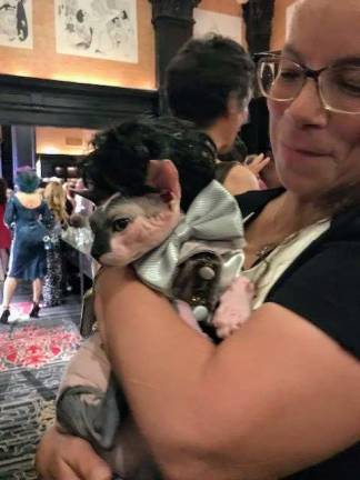 Fashionable felines strut stuff Canolli as Sweeney Todd at the Algonquin Cat's Annual Celebration. Photo: Charmaine P. Rice