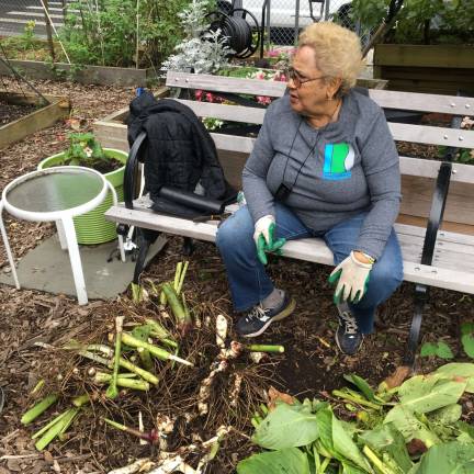 pesticide application ravages garden On Sunday morning, Jenny Benitez, 86, sat on a bench inside the garden that bears her name. Despite the devastation wrought by a pesticide application on the nearby Amtrak right of way, she was looking forward to spring. Photo: Richard Khavkine