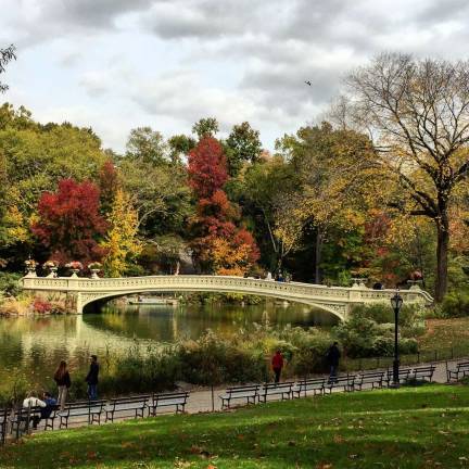 Coming up in Central Park Coming up in Central Park