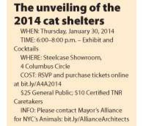 Building Shelters for City Cats