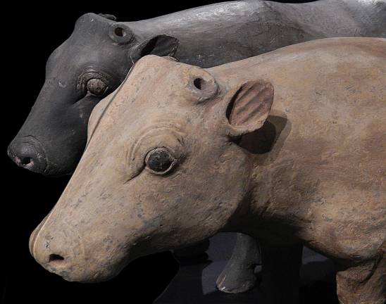 ancient china unearthed The astonishing realism of this pair of bovines belies their supernatural function. A barnyard full of ceramic livestock provided feasts for the next life. Photo: Adel Gorgy