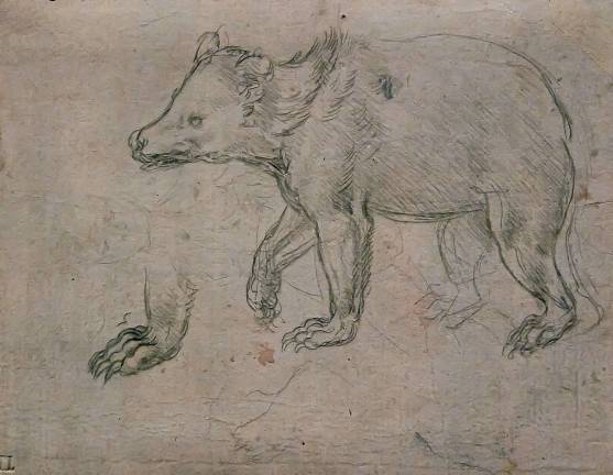 along the lines of greatness Leonardo da Vinci drew "A Bear Walking" in about 1482. It's on view at the Met Fifth Avenue. Photo: Adel Gorgy