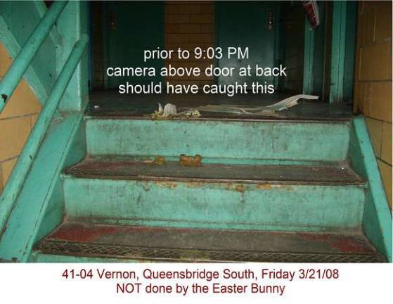 One Queensbridge Community Vigilante Knows How to Raise a Stink with Authorities One Queensbridge Community Vigilante Knows How to Raise a Stink with Authorities