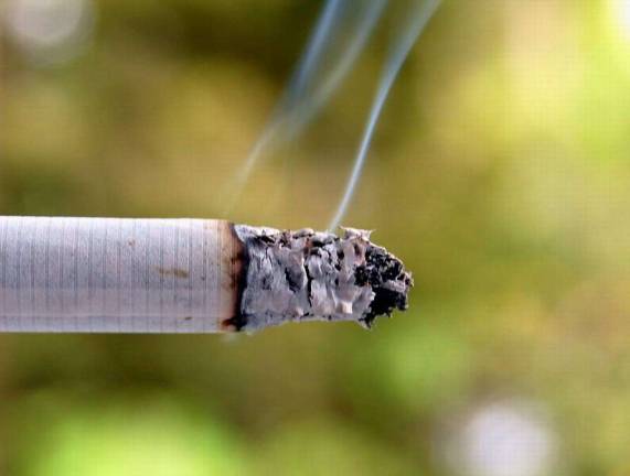 New York State Parks Department Suspends April Smoking Ban