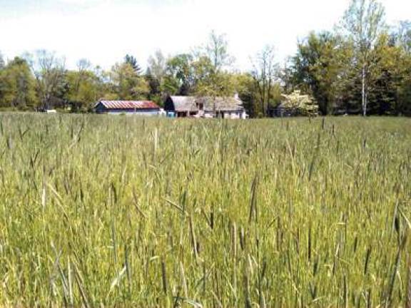 Plenty to Do in the Hudson Valley Plenty to Do in the Hudson Valley