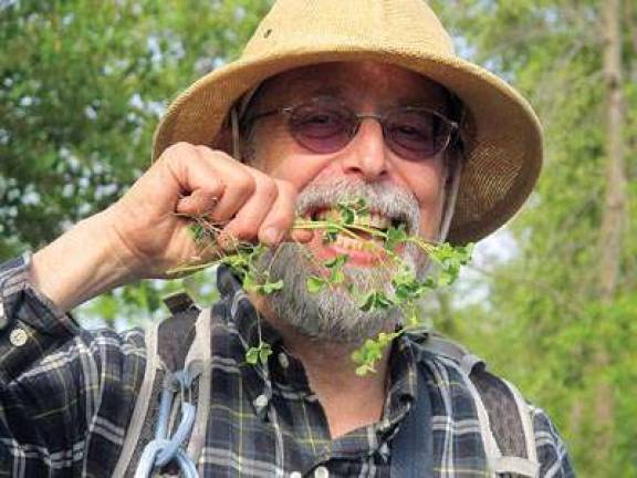 Foraging Through Central Park Foraging Through Central Park