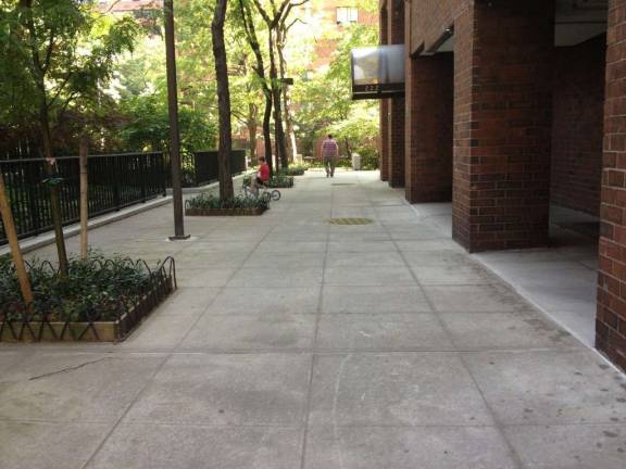 Upper East Side Residents Fight to Save Precious Green Space Upper East Side Residents Fight to Save Precious Green Space