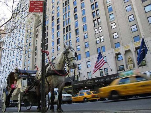 Horsedrawn Carriages May Be Forced Into Retirement