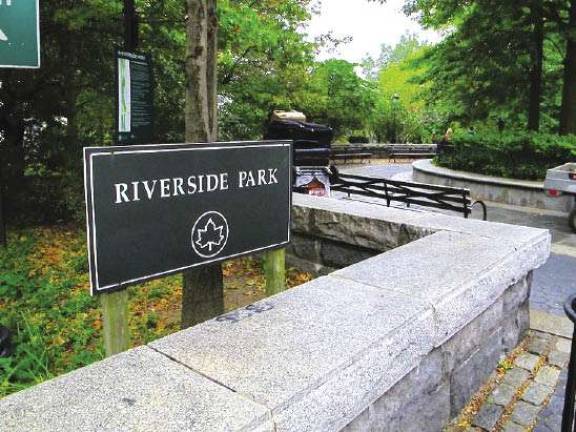 Reacting to the Riverside Park Stabbing