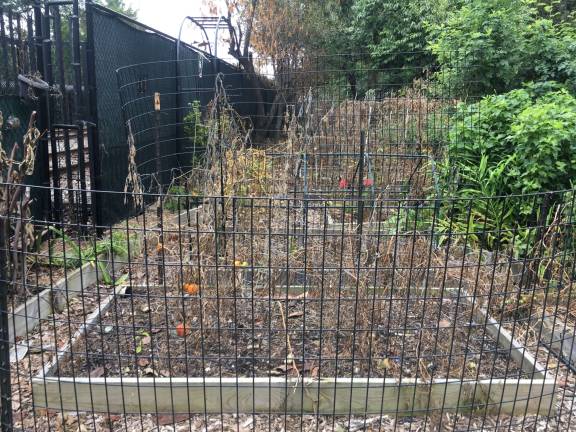 pesticide application ravages garden A West Harlem community garden's harvest of tomatoes, beans, cucumbers, squashes and other bounty, designated for an Upper West Side soup kitchen, was killed by a pesticide application on the Amtrak right of way, which can be seen through the fence at left. Photo: Richard Khavkine