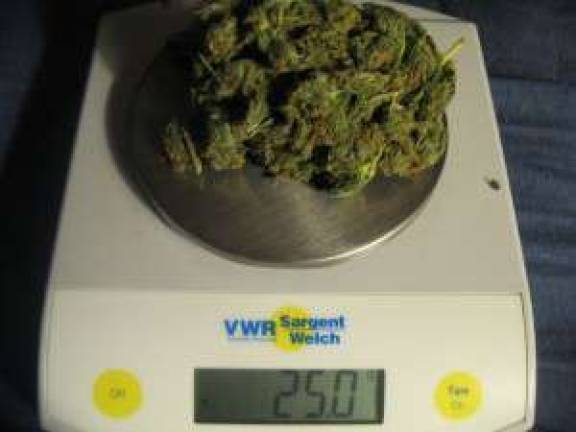 Decriminalizing Pot: What Does 25 Grams of Marijuana Look Like?