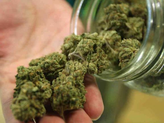 Local Senator Supports Changing Marijuana Law