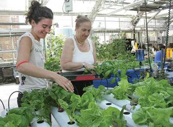 Program Finds Seniors Ripe for Healthy Fresh Food