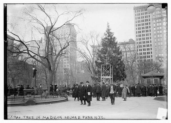 New York’s First Christmas Tree Op-Ed The Library of Congress