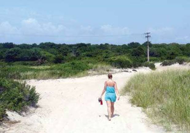Keep the Beach Fun by Avoiding Ticks & Lyme Disease