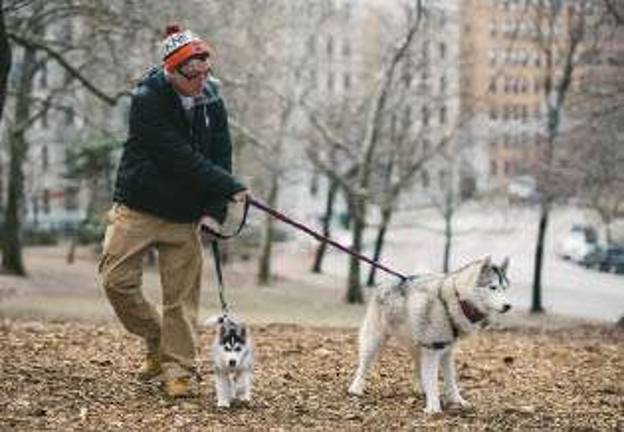 Op-Ed: Let Dogs Roam in Riverside Op-Ed: Let Dogs Roam in Riverside