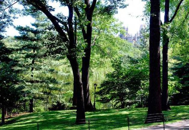 Go Camping in the City's Parks For Free This Summer Go Camping in the City's Parks For Free This Summer