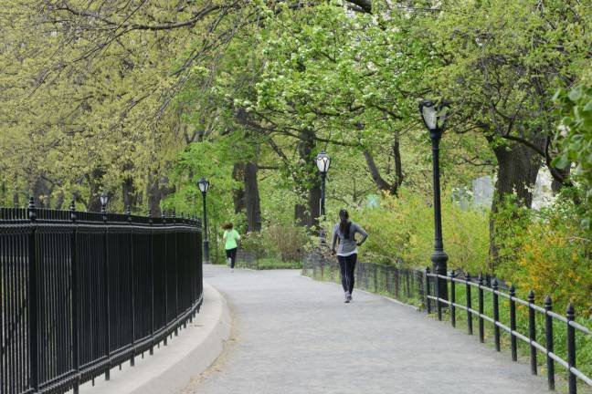 Jogging Path Resurfaced Jogging Path Resurfaced