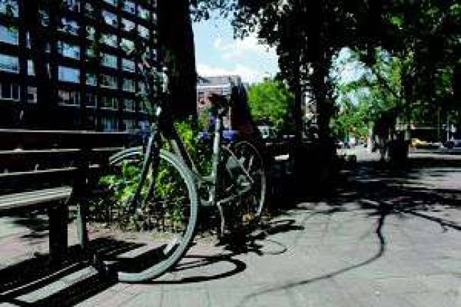 Community Successfully Ousts Citi Bike Station from SoHo Park
