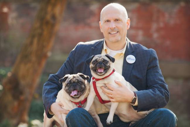 parks and barks Dennis Buonagura, Central Park Paws President, with his "mean machines," pugs Hazel (left) age 10, and Olive, the sock-stealing rescue, age 8. Photo: Mica Ringo