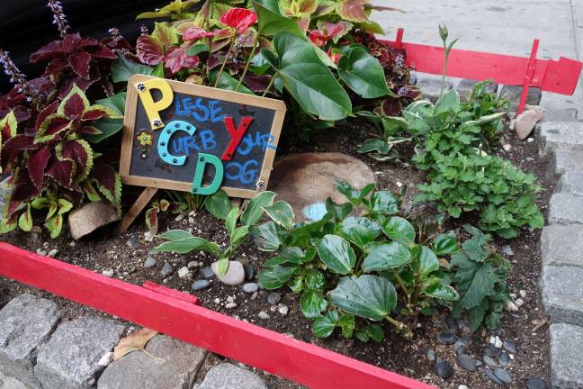 Dog owners shirking duty A message to dog owners in Chelsea. Photo: Deborah Fenker