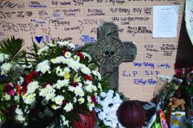 Will Gun Control Save Us? Will Gun Control Save Us?