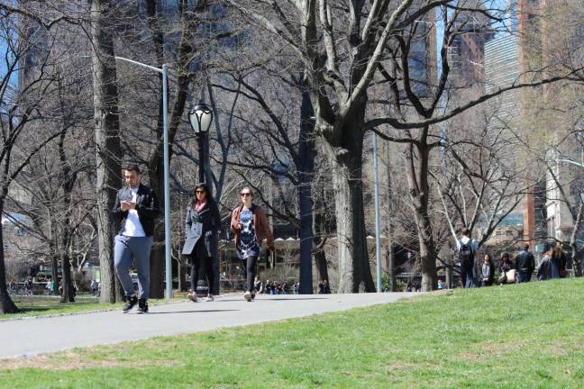 Spring and Allergy Season Have Sprung April 2017 in Central Park. Photo: Shinya Suzuki, via flickr