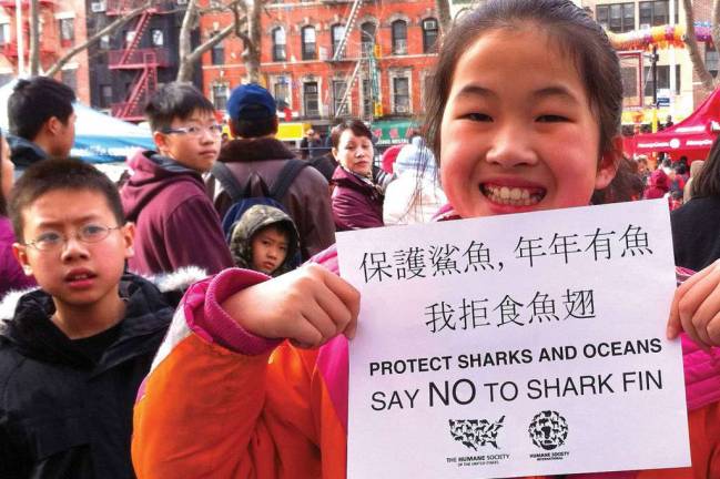 The debate about banning the sale of shark fins should be a non-starter
