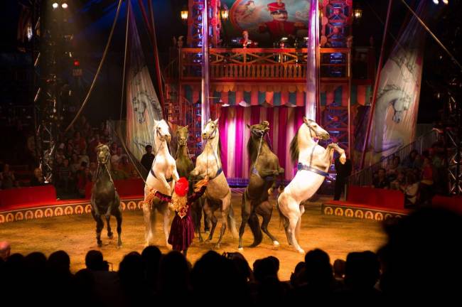 Public Pressure Mounts Over Use of Damrosch Park for Circus In March, the Big Apple Circus signed a 10-year deal with Lincoln Center to return to Damrosch Park for performances in October through January. Photo: Reed George, via Flickr