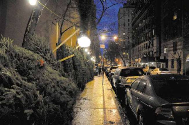 O, Christmas Tree! O, Christmas Tree!