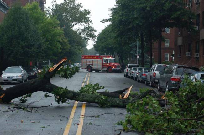 Tornado Hit Queens and Brooklyn on Saturday