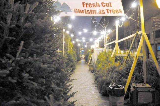 O, Christmas Tree! O, Christmas Tree!