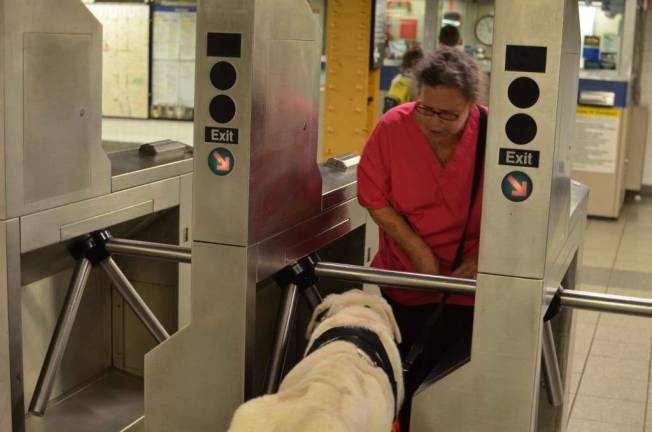 A Woman, Her Disability, and Her Dog A Woman, Her Disability, and Her Dog