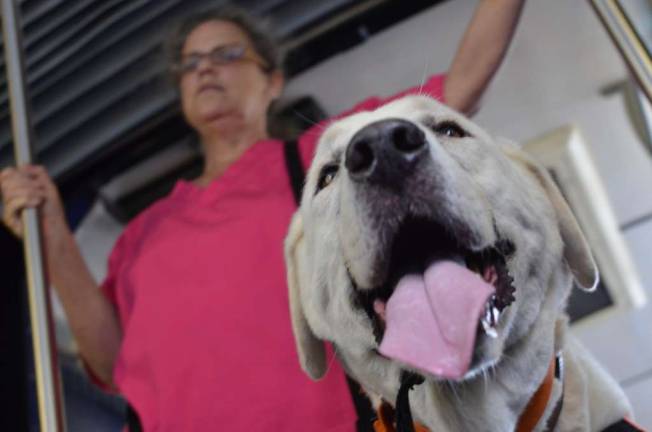 A Woman, Her Disability, and Her Dog A Woman, Her Disability, and Her Dog