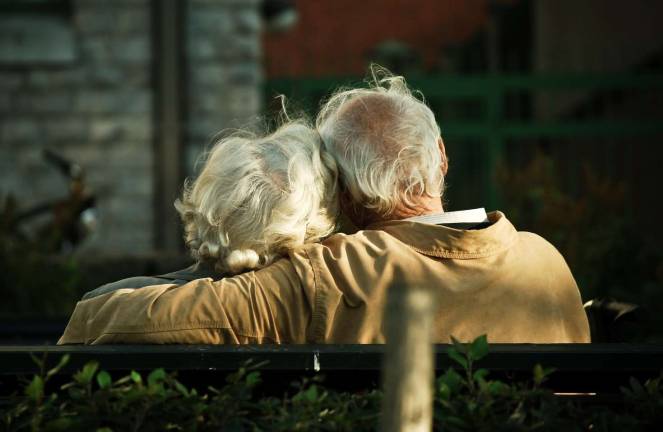 Life cycle moments Photo: Candida.Performa, via flickr