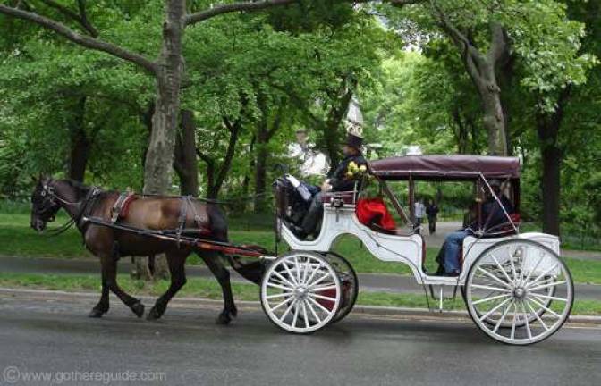 Where Have All the Carriage Horses Gone?