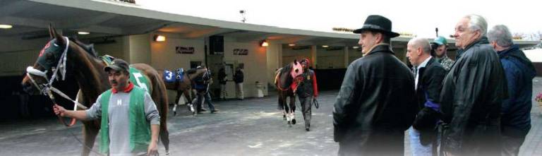 Betting's Past Lives Alongside Its Future at Queen's Racetrack Betting's Past Lives Alongside Its Future at Queen's Racetrack