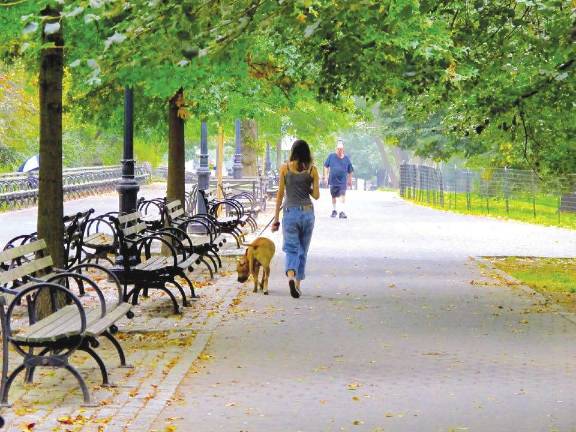 Reacting to the Riverside Park Stabbing