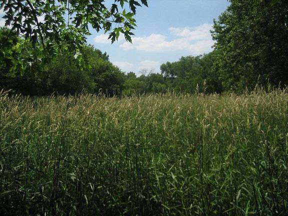 Cuomo Administration Quietly Secures $20 Million for Conservation Fund