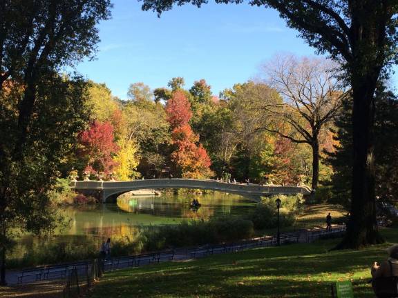 Beautiful Bow Bridge Photo Scrapbook