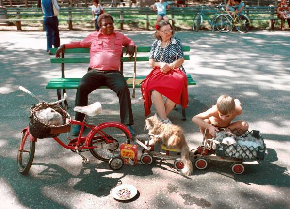 "Tender Vittles, Cats on Parade," Central Park, 1978. D. Gorton, NYC Parks Photo Archive