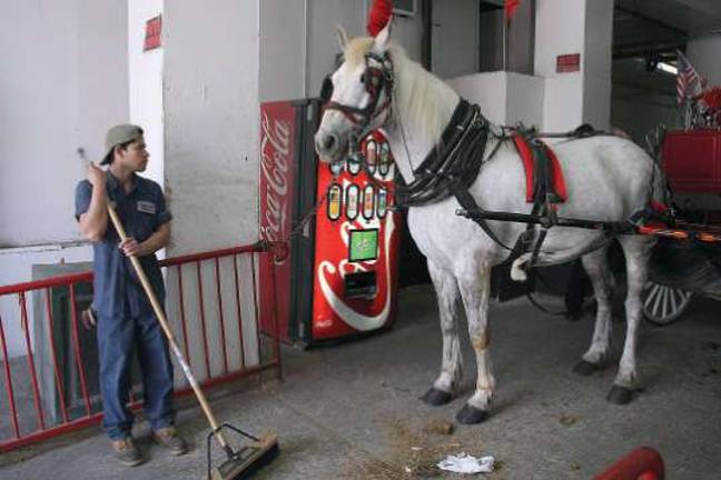 No Horsing Around this Time