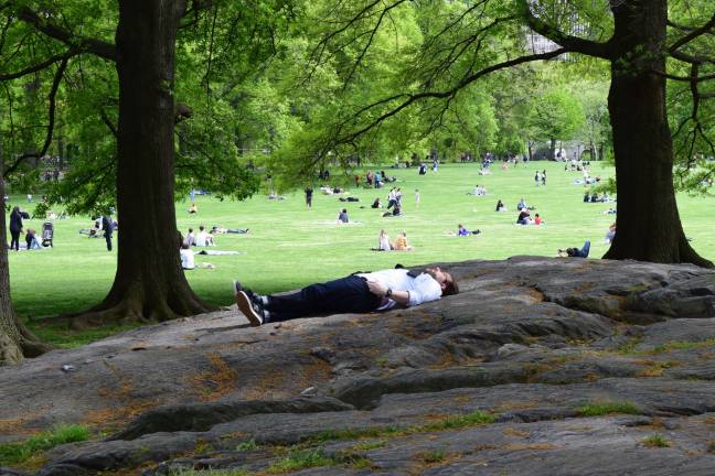 Sheep Meadow, 2018. Photo: Michael Garofalo